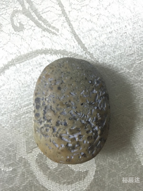 夜明珠开奖，神秘抽奖揭秘