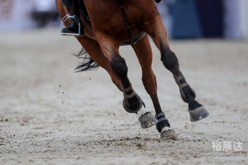 2019香港马会资枓大全免费2019香港马会资枓大全免费活动解析-第1张图片
