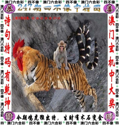 2024澳门精准正版免费大全20252024澳门精准正版，回归之路的辉煌篇章-第2张图片