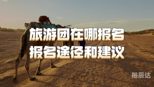 老年旅游团怎么报名的老年旅游团报名攻略-第3张图片