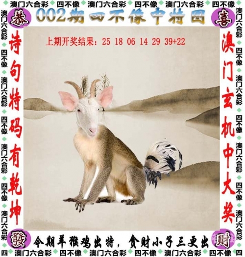 澳门123696六下彩，2020年养母的魅力与故事