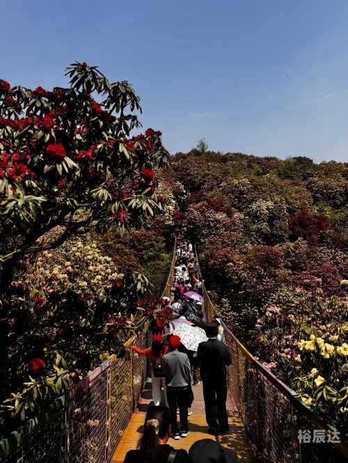 毕节旅游攻略毕节旅游攻略-第1张图片