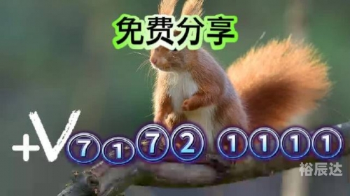 澳门2023开奖结果及开奖记录-第3张图片