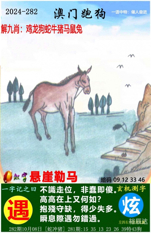 王中王资料大全特辑-第2张图片