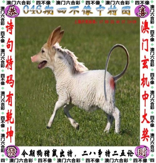 今晚澳门必中肖码一肖一码-第3张图片