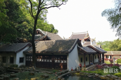 广西风彩网，探寻地域文化的瑰宝