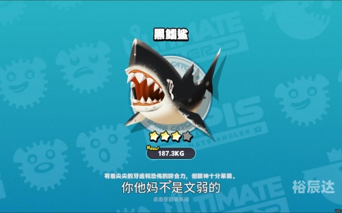万能鲨鱼，海洋之霸-第1张图片
