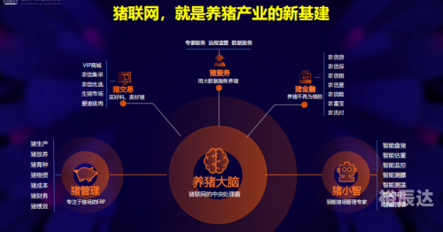 321全讯网，科技前沿的窗口-第1张图片