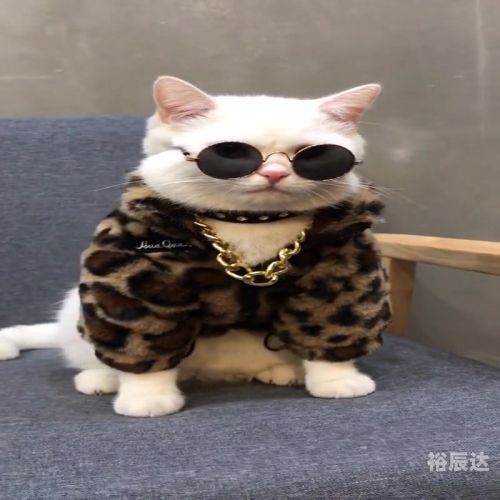 新万博狗万，游戏产业的璀璨新篇章-第1张图片