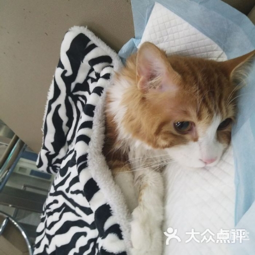 新万博狗万，游戏产业的璀璨新篇章-第3张图片