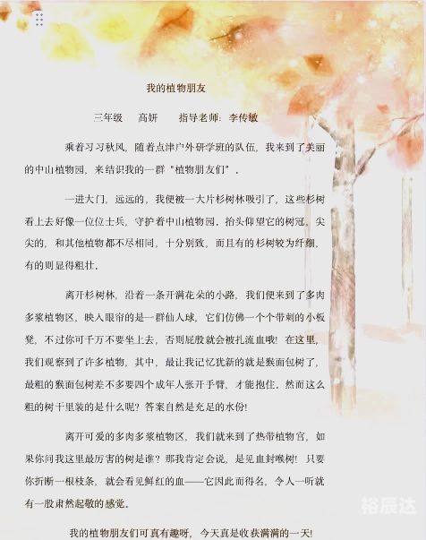 呱呱网呱呱网，探索网络世界的奇妙之旅-第2张图片