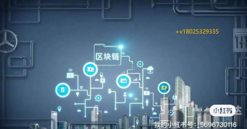 8789.com，探索数字世界的无限可能
