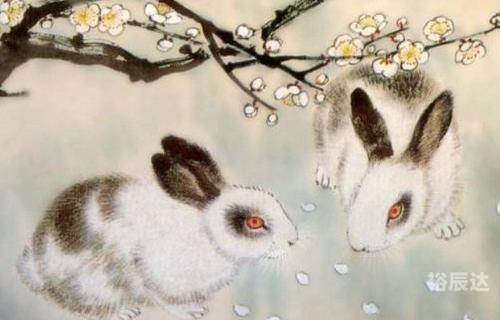 特马资料最准2019特马资料最准2019，精准预测市场趋势-第3张图片