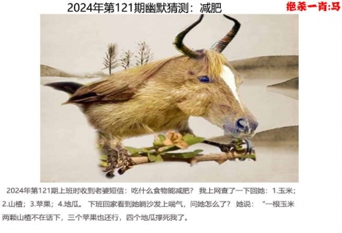 2024香港开彩开奖结果记录及查询2024香港开彩开奖结果揭晓，彩市新篇章-第2张图片