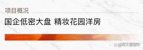 8888y背后的秘密与启示