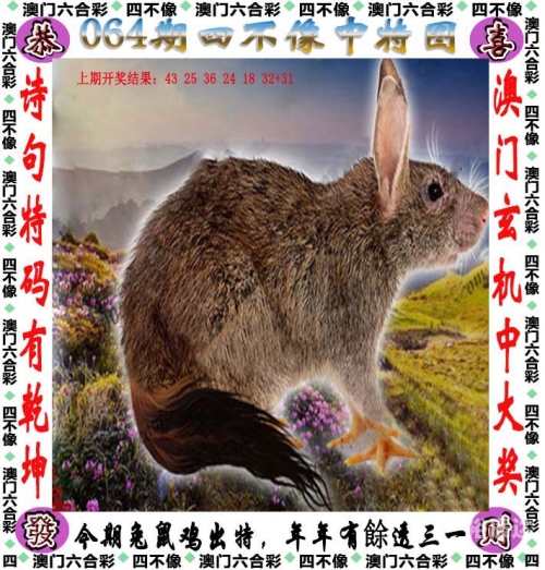494949免费大全