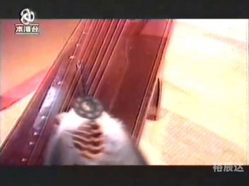 本港台现场直播本港台现场直播，实时报道与互动体验
