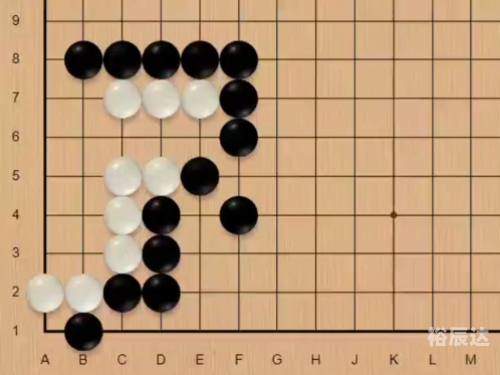 天龙图库，探索数字艺术的新世界