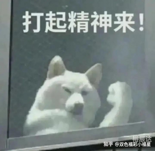 双色球33期预测号码最准确双色球33期预测文章-第3张图片