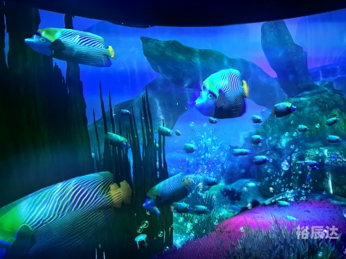 3d 画谜3D画谜专区，探索神秘的艺术世界