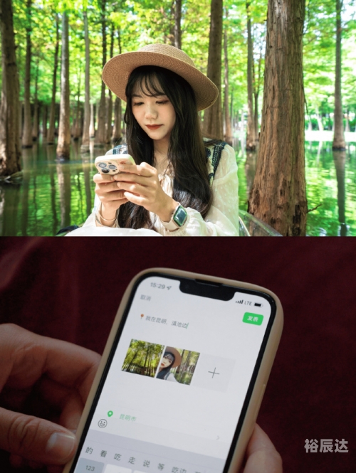 微风网微风网，探索网络世界的微妙之风-第3张图片
