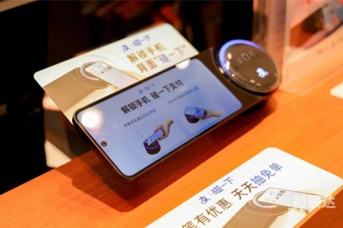 金鹰网站金鹰网站，引领网络新潮流-第3张图片