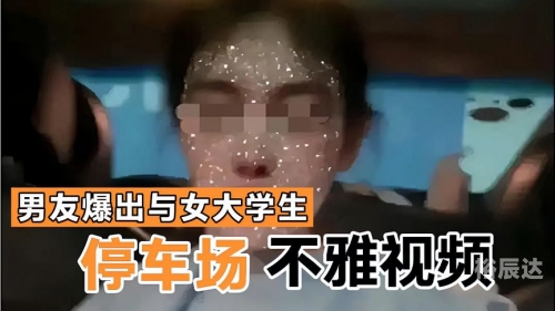 江苏村官不雅视频事件，揭示基层官员的丑陋与失范
