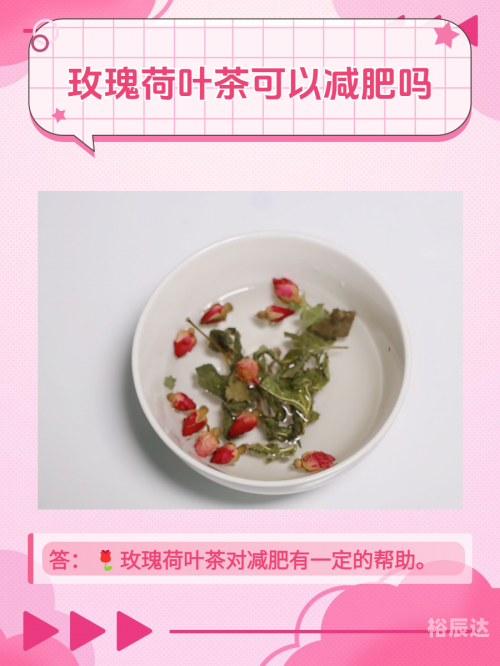 荷叶茶减肥效果荷叶茶减肥效果研究-第2张图片