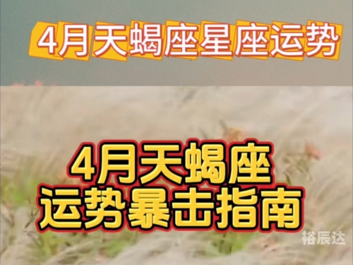 天蝎座运势