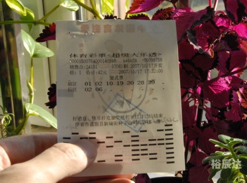 彩龙网排列三选号工具彩龙网，引领网络新时代