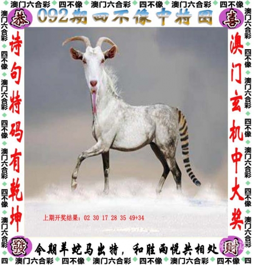 二四六天天好彩精选文字-第2张图片