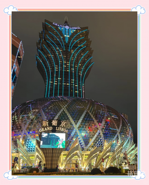 澳门今晚特马之夜，展望2022