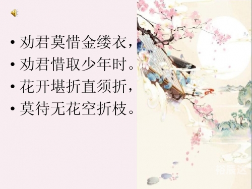 金缕衣简谱歌谱金缕衣简谱-第2张图片