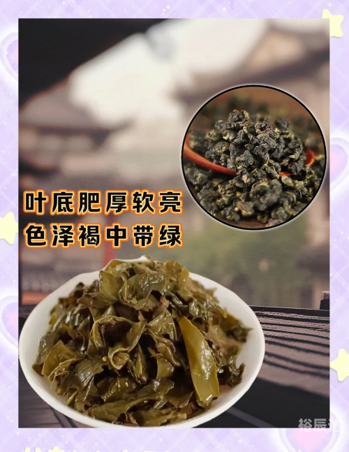 白芽奇兰是什么茶多少钱一斤白芽奇兰，兰花中的珍品