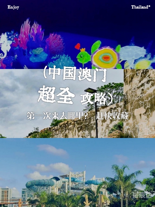 澳门资料大全-第3张图片