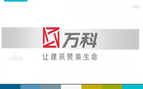万科融资融券万科融资策略与挑战-第1张图片