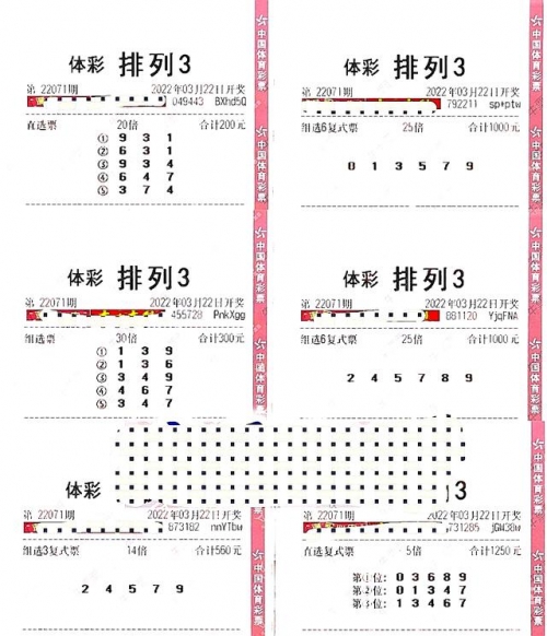 3d红五图库3D红五图库，探索数字艺术的新疆界