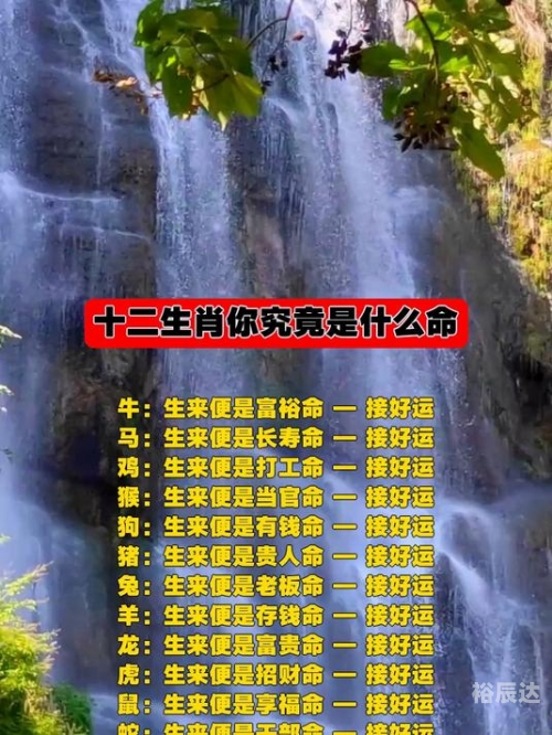逗留不进是什么生肖准确答案逗留不进是什么生肖