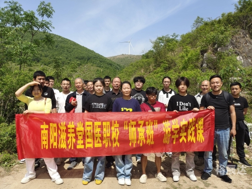 医道官途顶点医道官途顶点，探寻医道之路的巅峰