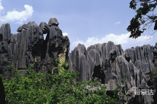 云南石林是几A级景区石林景区是几A级景区-第2张图片