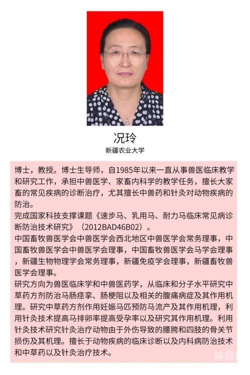 专注2019年马会全年免费大全2019马会正版，正版马匹展的回顾与展望-第3张图片