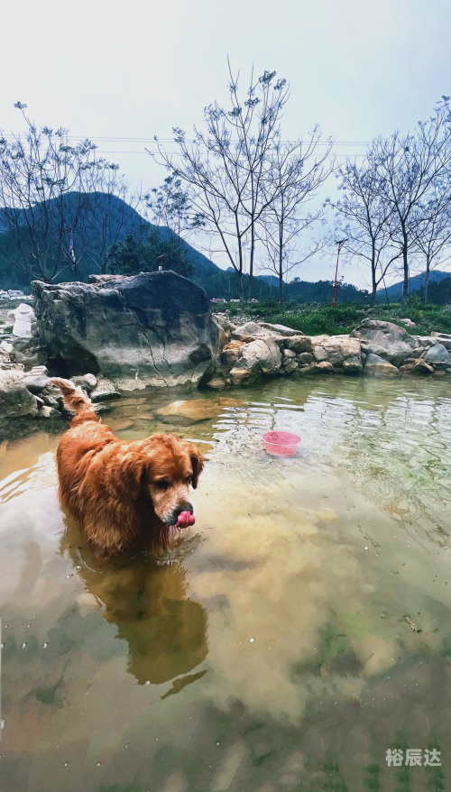 广东温泉自驾游攻略