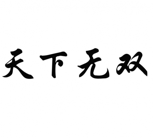 新天下无双新天下无双，盛世新篇章-第2张图片