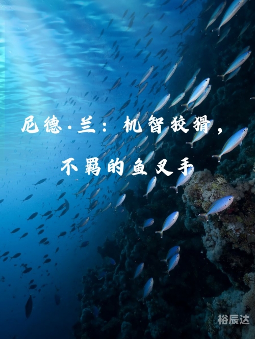黑蚀龙黑蚀龙，神秘而危险的自然守护者-第2张图片