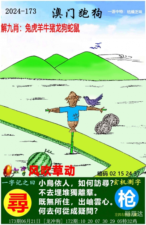 246天天好彩蓝月亮精选-第2张图片
