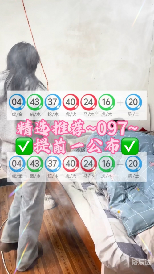 新奥门资料免费资料大全