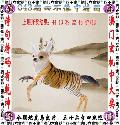 金光佛论坛怎么打不开了金光佛论坛，探寻佛法智慧与心灵成长-第2张图片