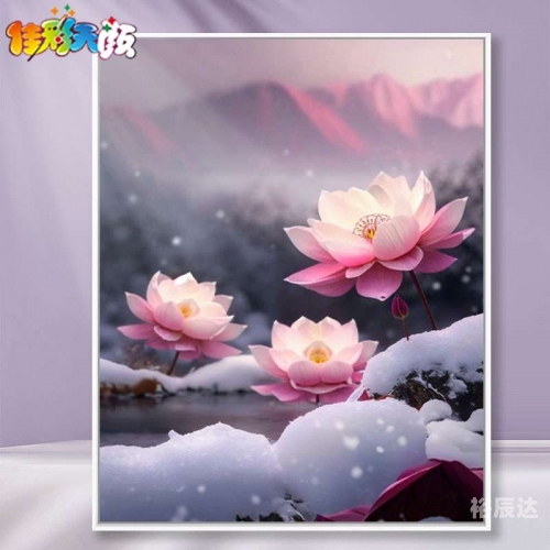 彩天堂平台怎么样彩天堂，梦幻之境