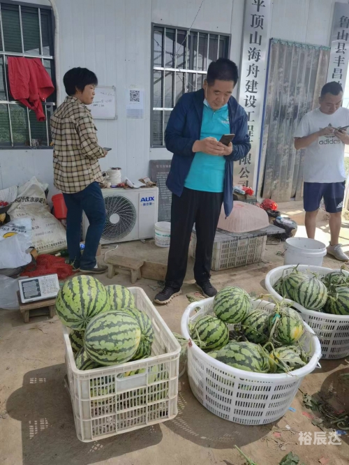 江苏村官吃饭三段视频 西瓜江苏村干部4分40秒视频解析-第2张图片