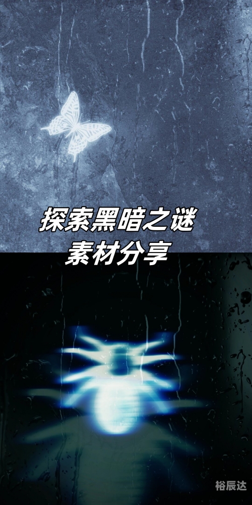 九龙内幕九龙内幕，揭开隐藏的神秘面纱